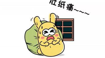 吃瓜群众讨论中午吃的啥